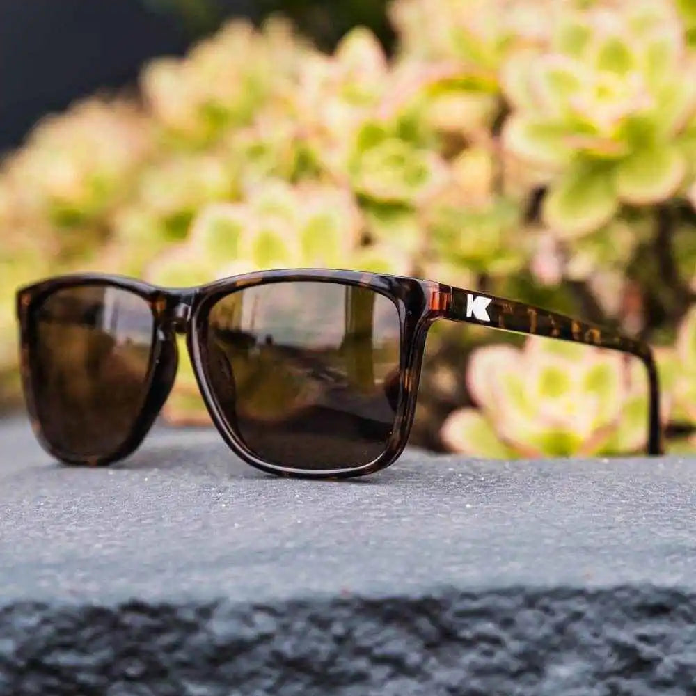 Glossy Tortoise Shell / Amber Fast Lanes